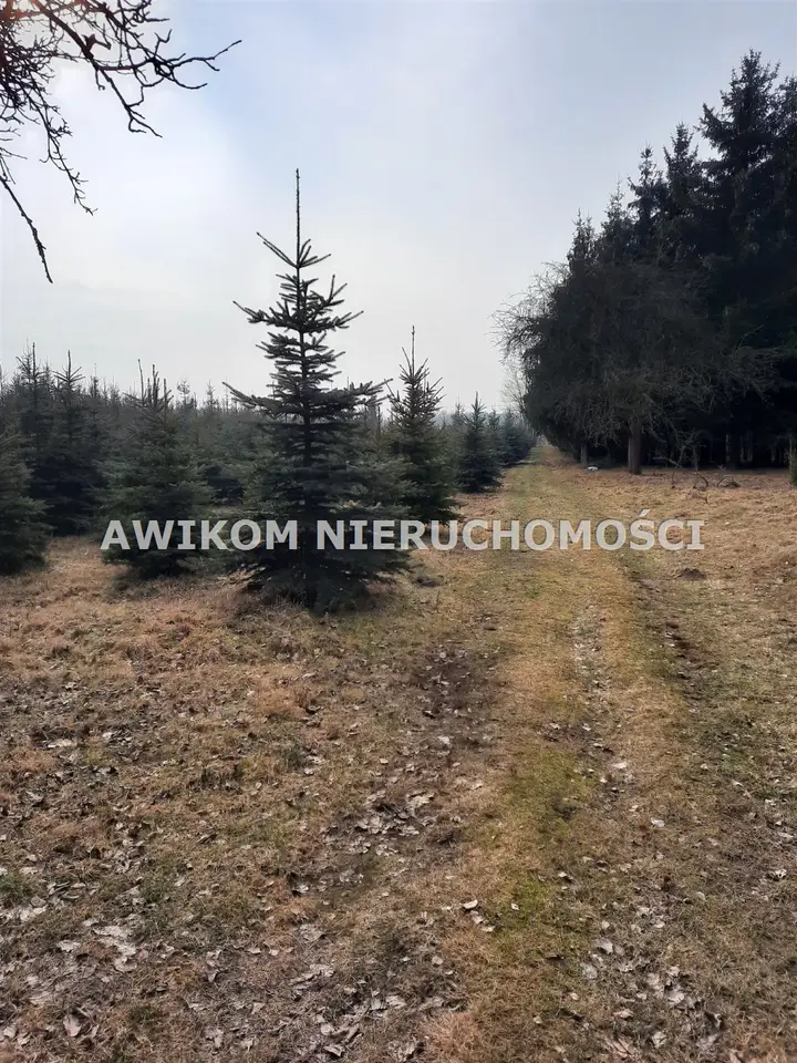 Zdjęcie 5
