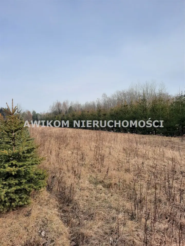 Zdjęcie 7
