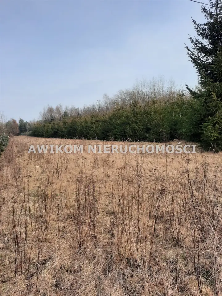 Zdjęcie 8