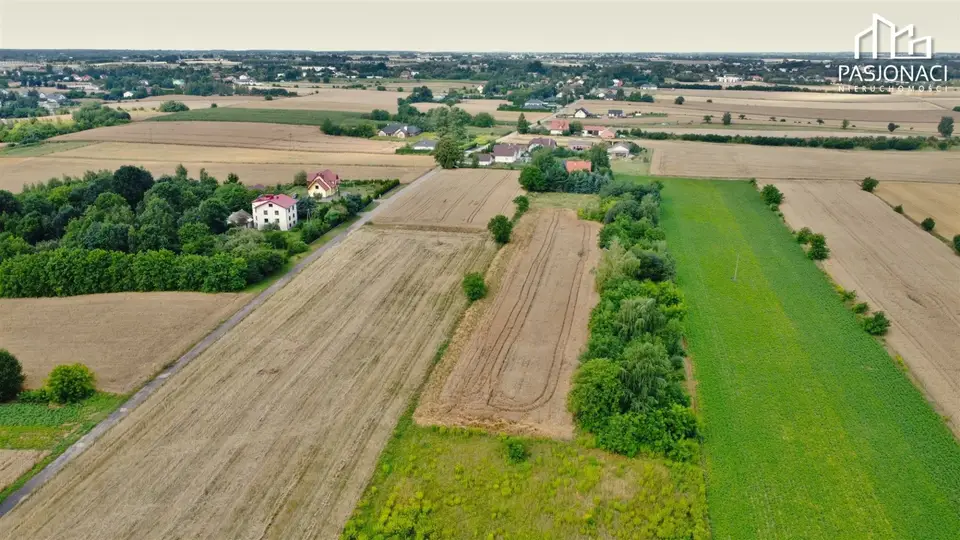 Zdjęcie 7