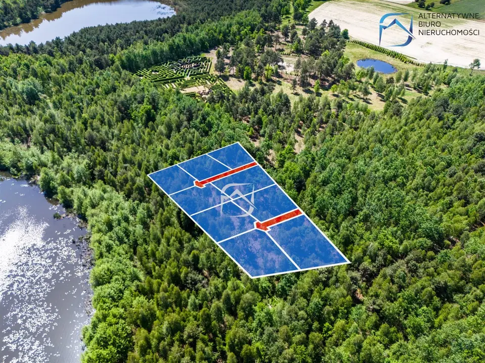Zdjęcie 9