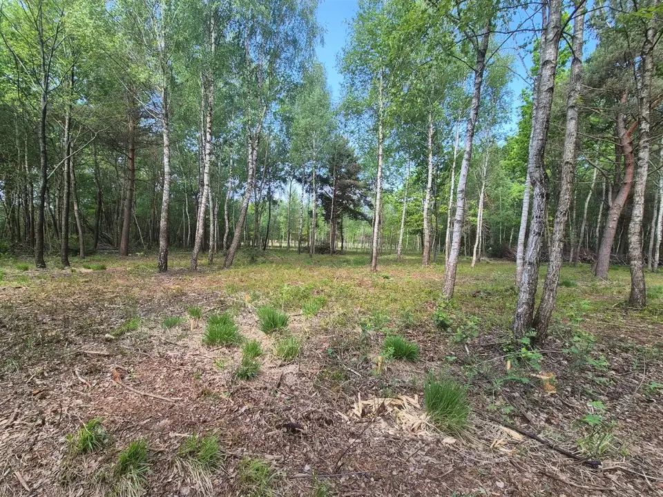 Zdjęcie 14
