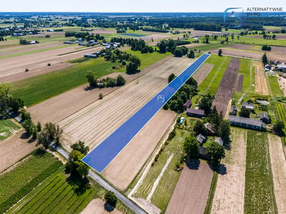 Zdjęcie 7
