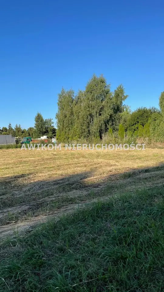 Zdjęcie 2