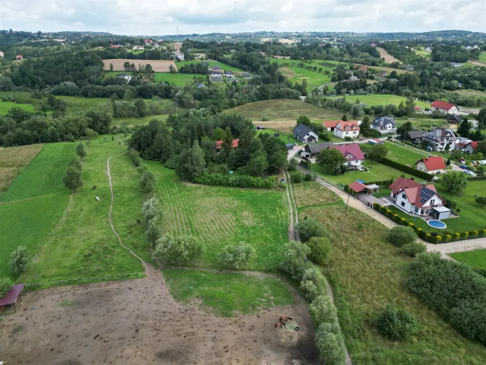 Zdjęcie 5