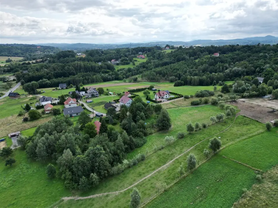 Zdjęcie 8
