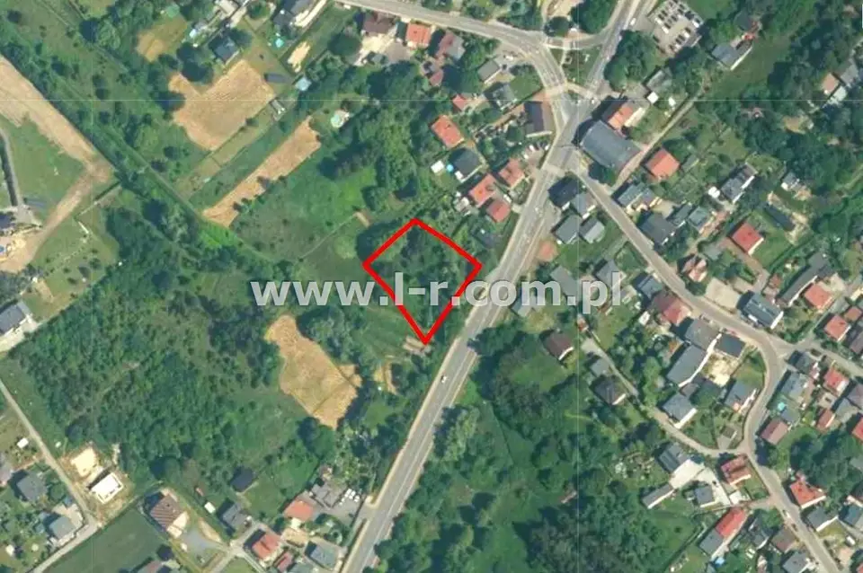 Zdjęcie 11