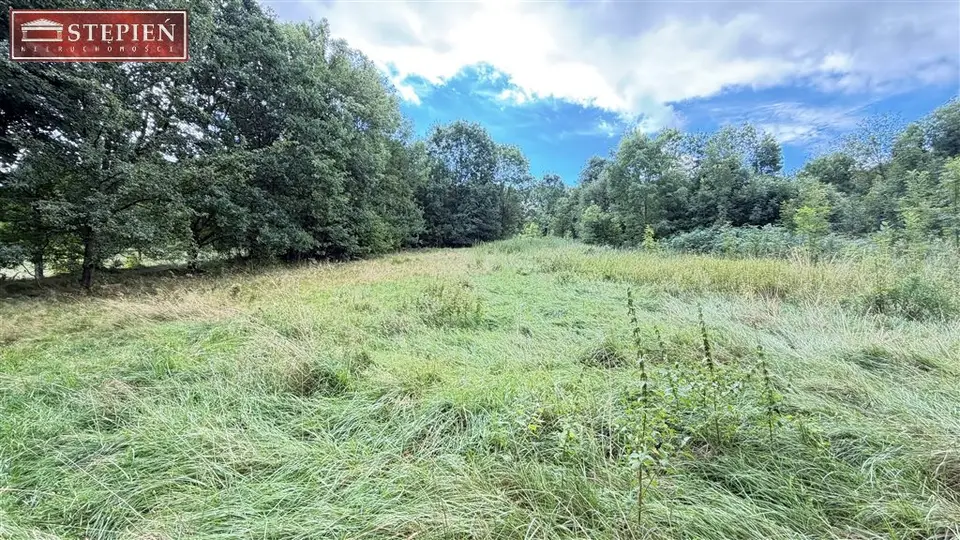 Zdjęcie 3