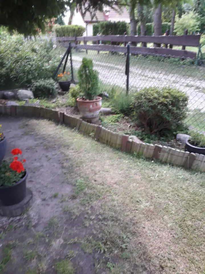 Zdjęcie 3