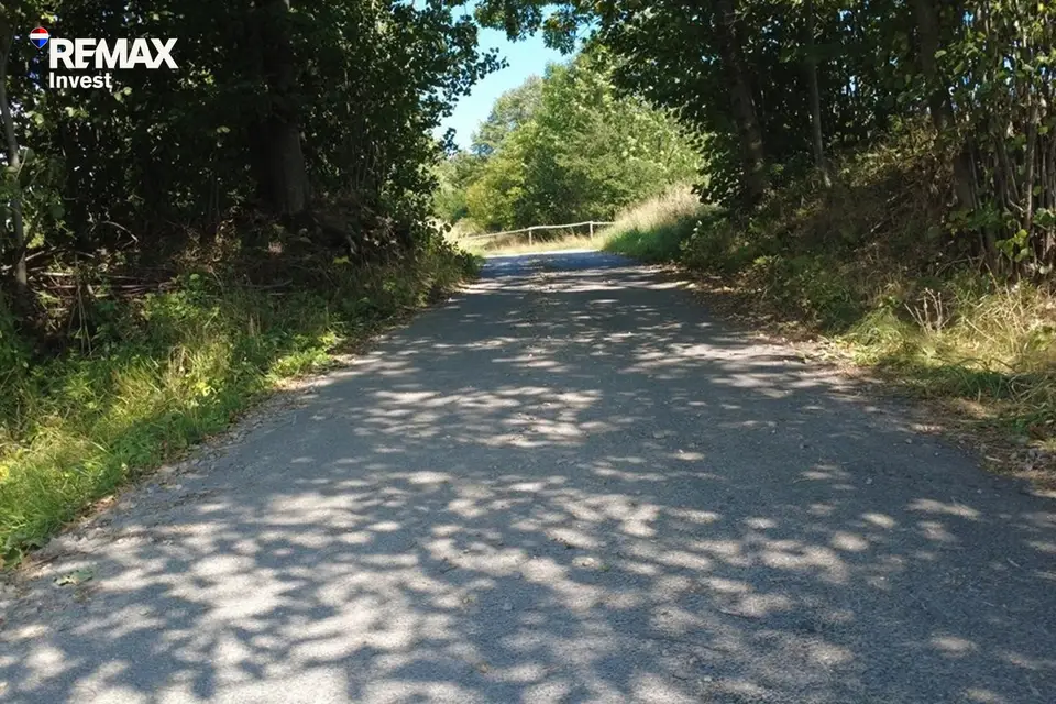 Zdjęcie 20