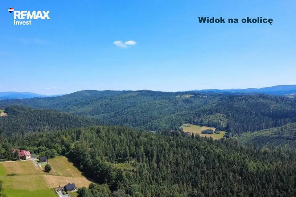 Zdjęcie 3