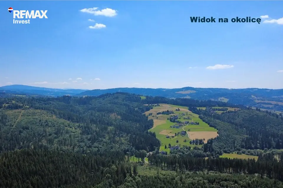 Zdjęcie 6