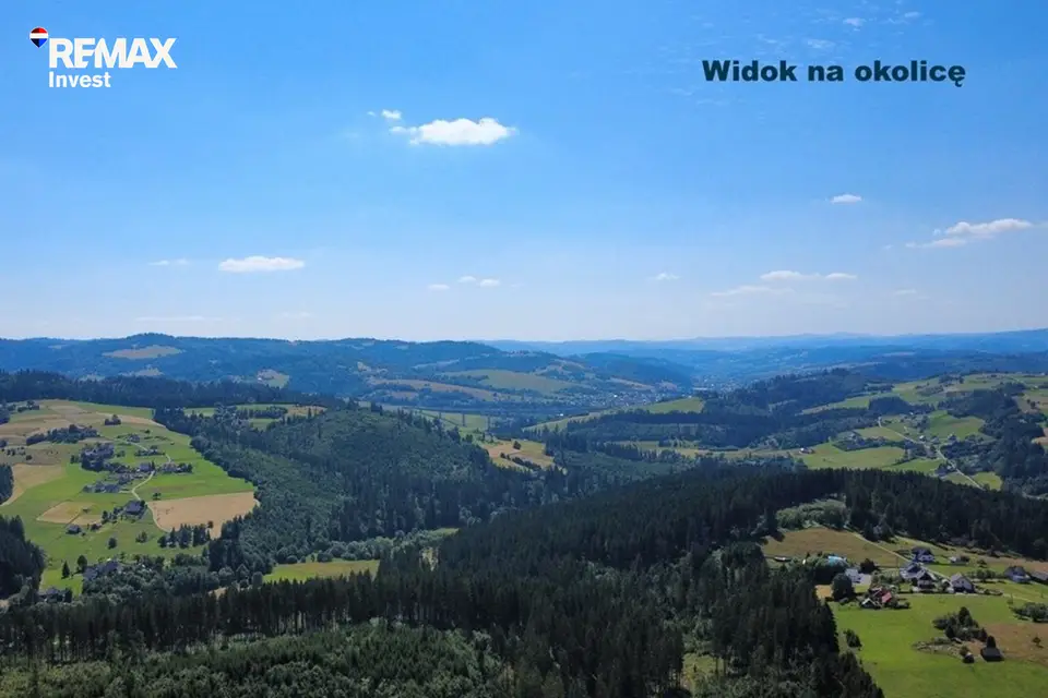 Zdjęcie 7