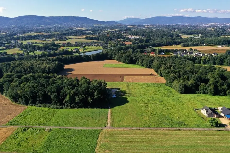 Zdjęcie 4