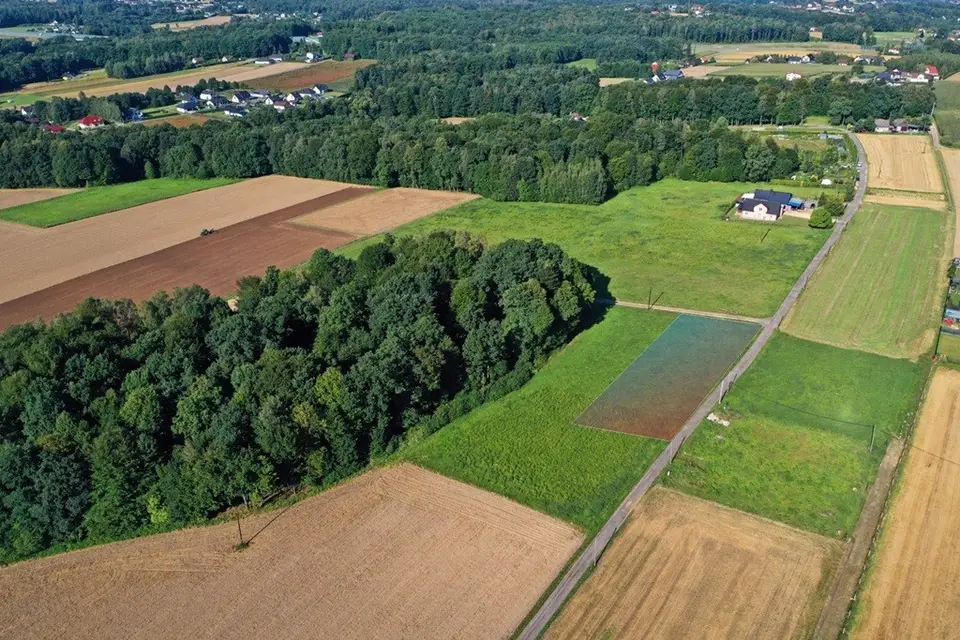 Działka budowlana 952 m², Pisarzowice