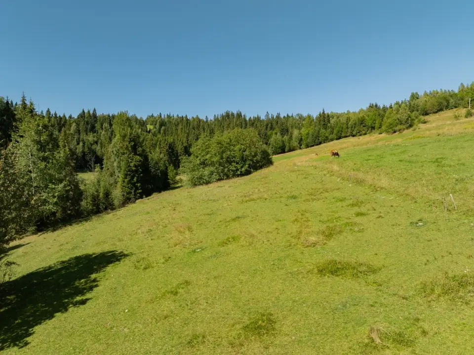 Zdjęcie 14
