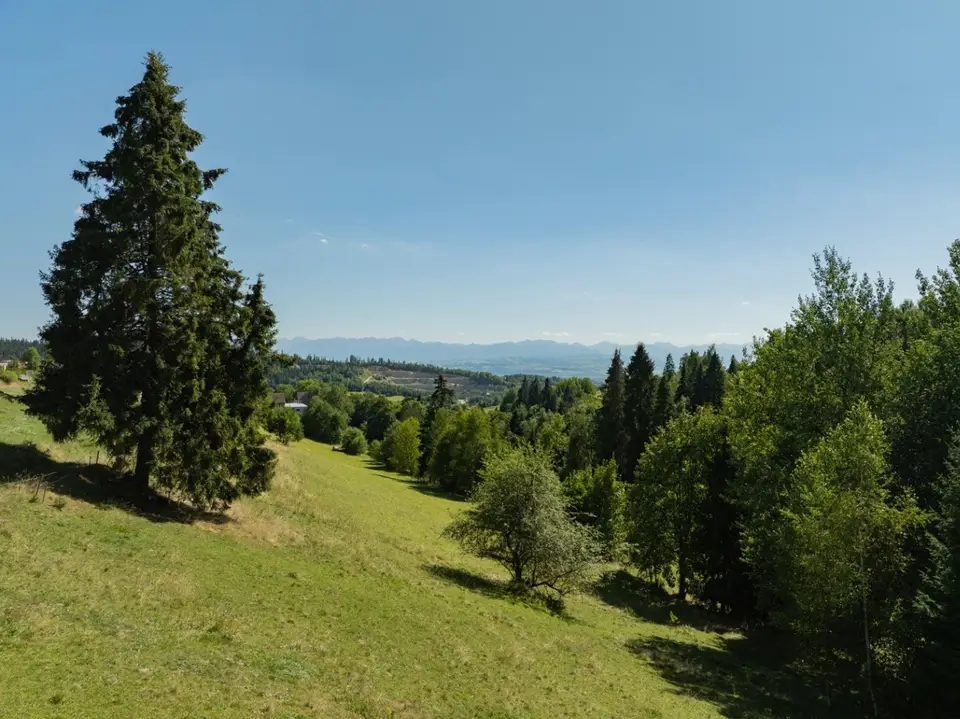 Zdjęcie 15