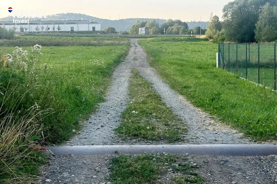 Zdjęcie 10