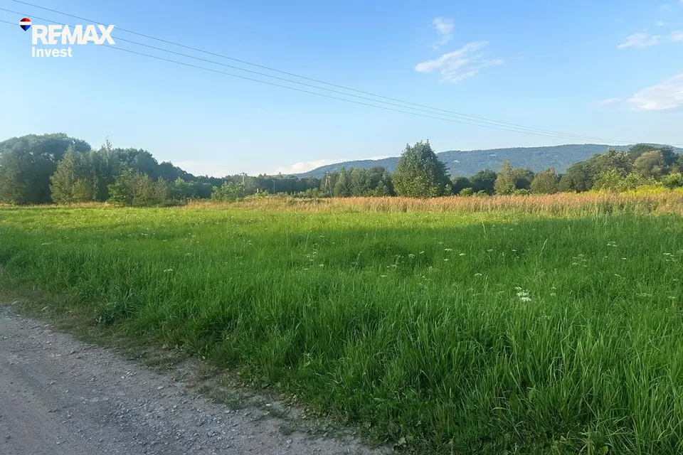 Zdjęcie 11