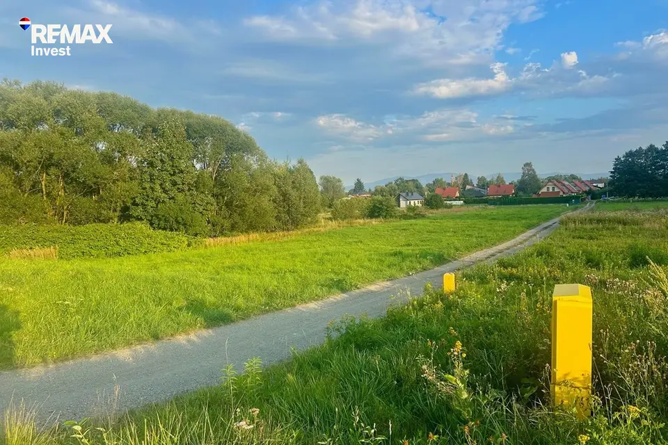 Zdjęcie 13