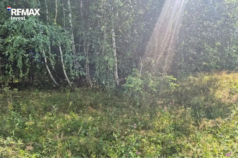 Zdjęcie 7