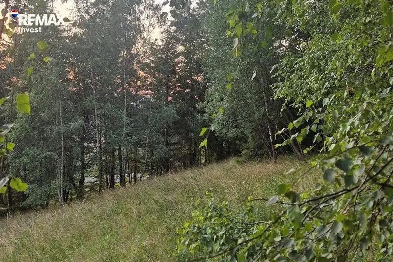 Zdjęcie 9