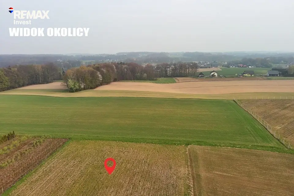 Zdjęcie 8