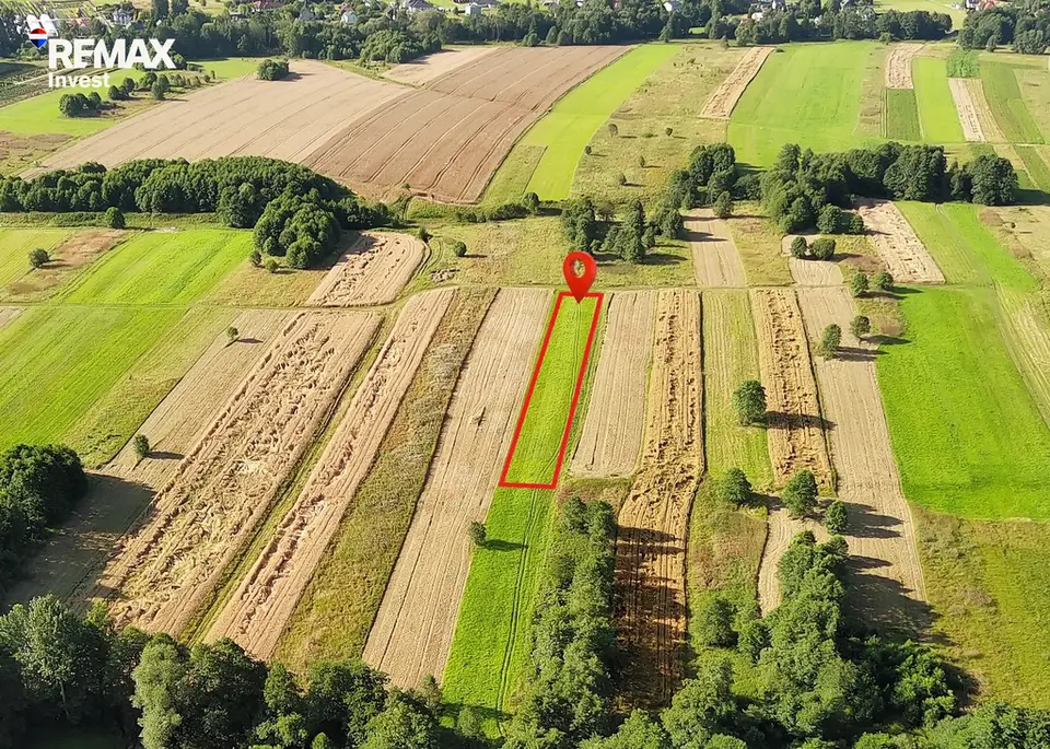 Działka rolna 2 545 m², Rybarzowice