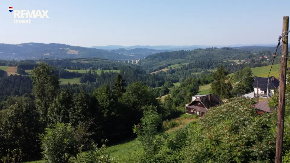 Zdjęcie 12