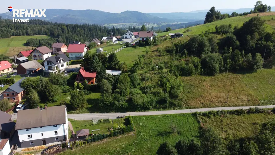 Zdjęcie 15