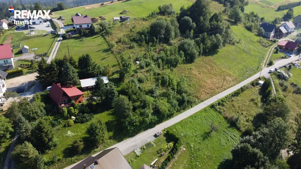 Zdjęcie 19