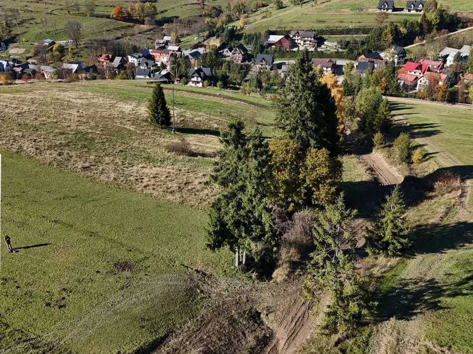 Zdjęcie 6