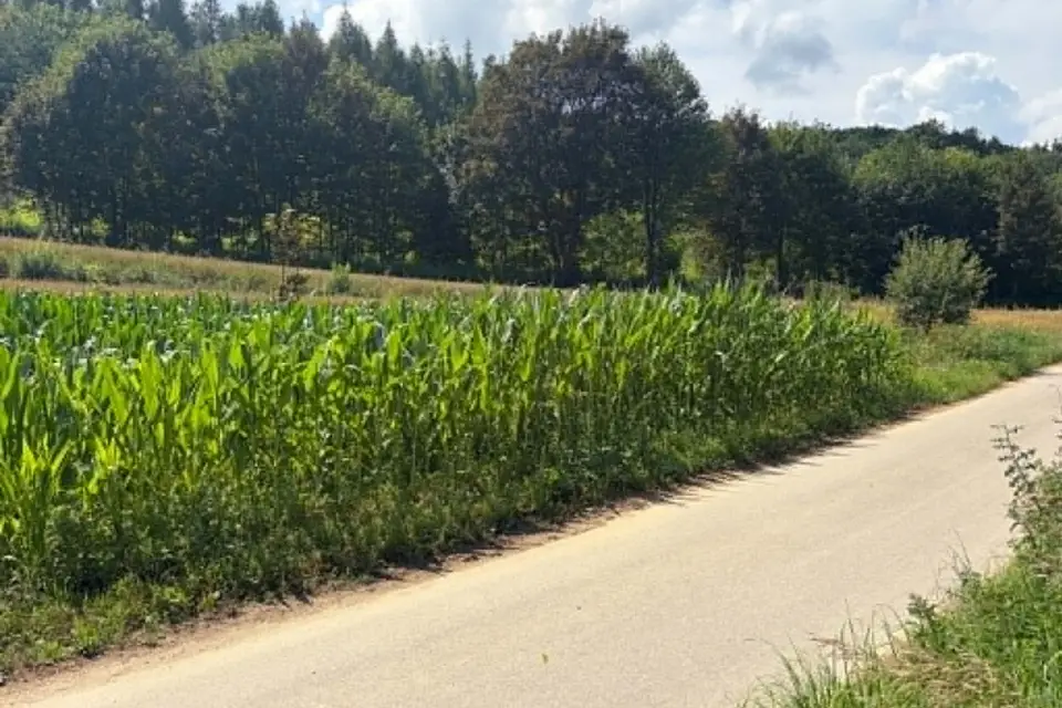 Działka rolna 1,26 ha, Jaksice