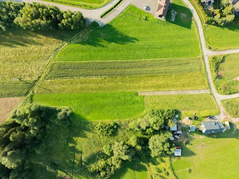 Zdjęcie 11