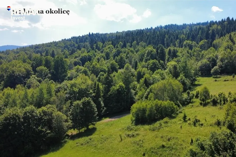 Zdjęcie 5