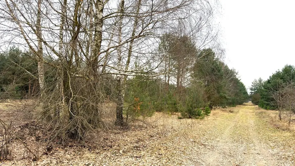 Działka inwestycyjna 1,01 ha, Strobów