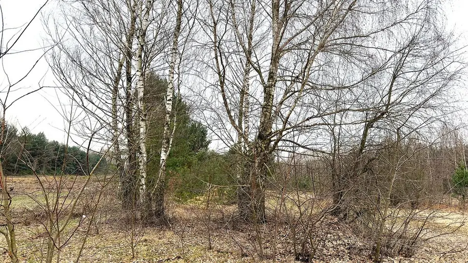 Zdjęcie 4