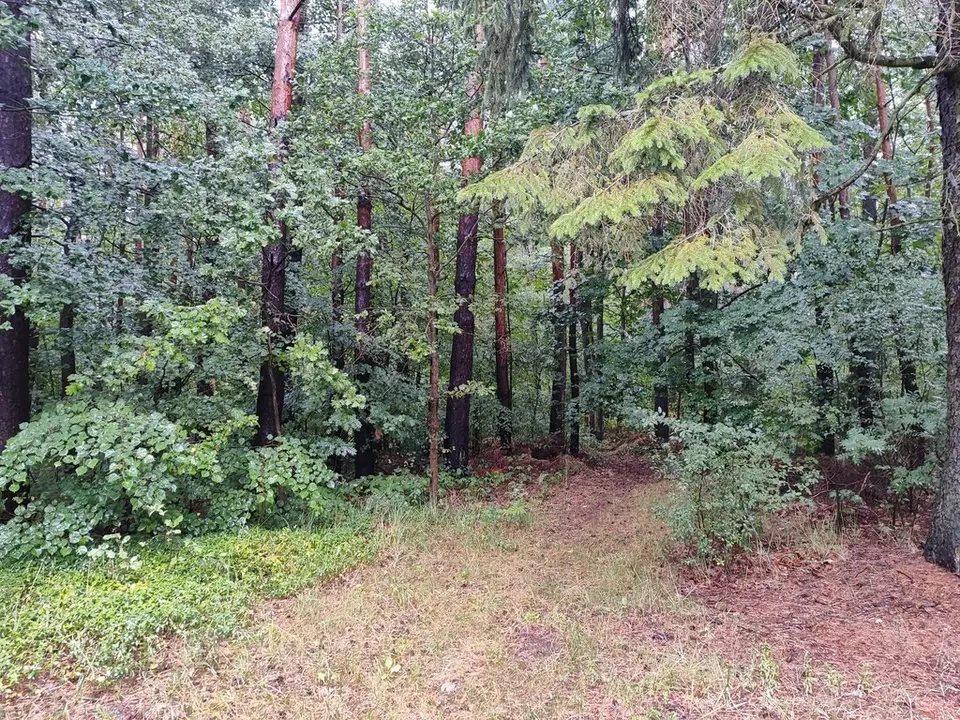Zdjęcie 3