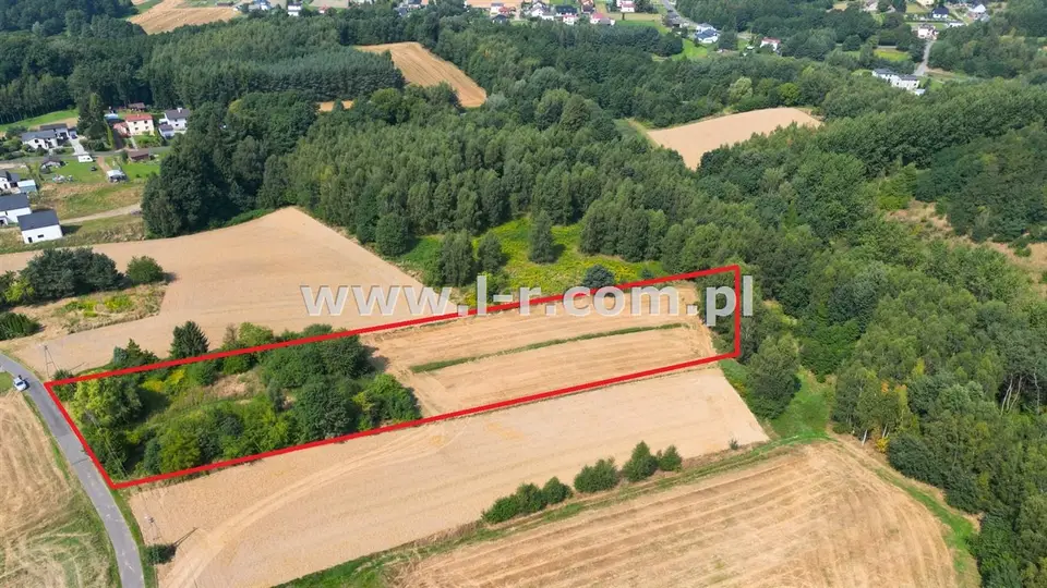 Działka budowlana i rekreacyjna 7 524 m², Gogołowa