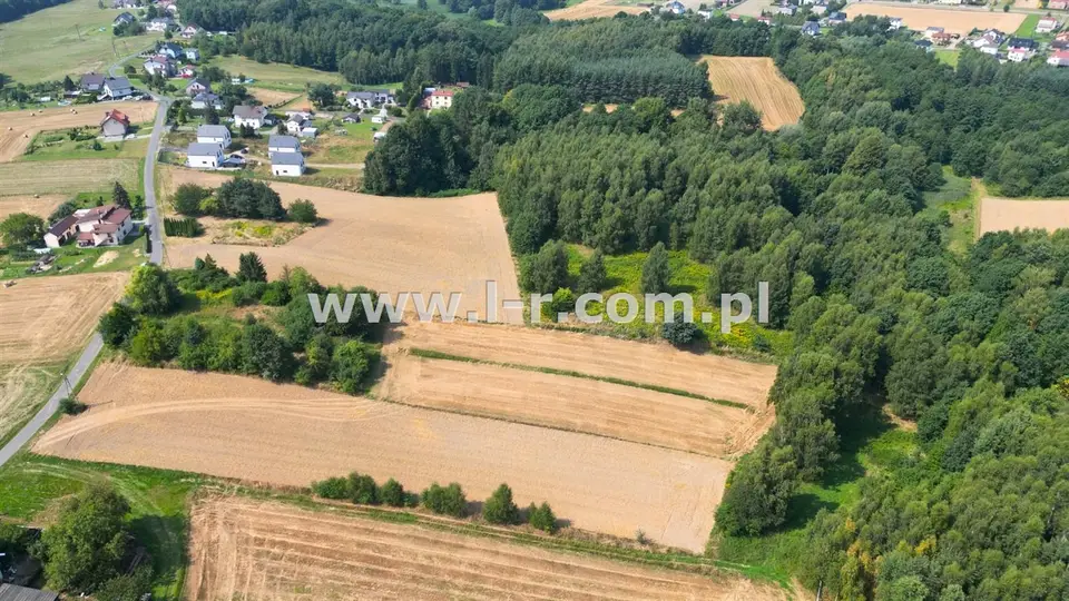 Zdjęcie 15