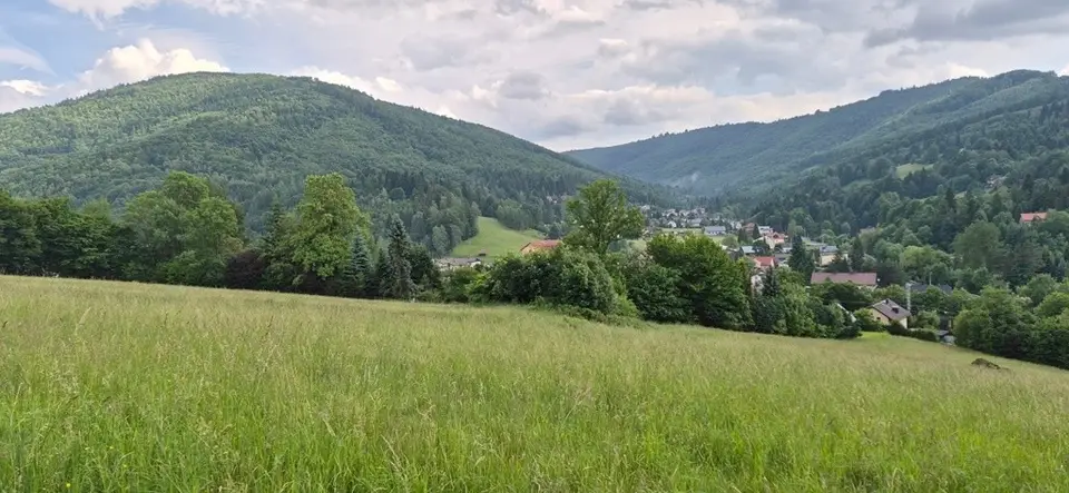Zdjęcie 3