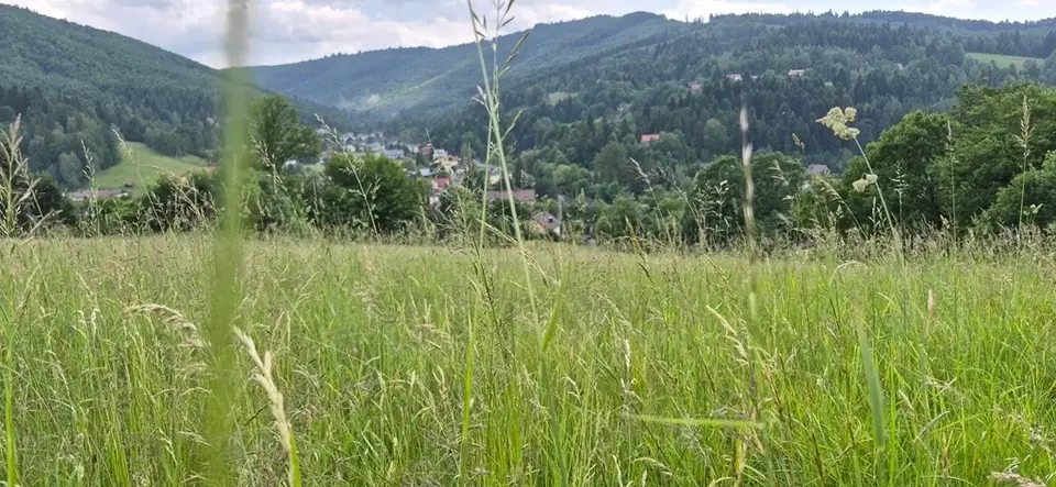Zdjęcie 4