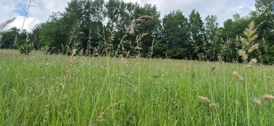 Zdjęcie 5