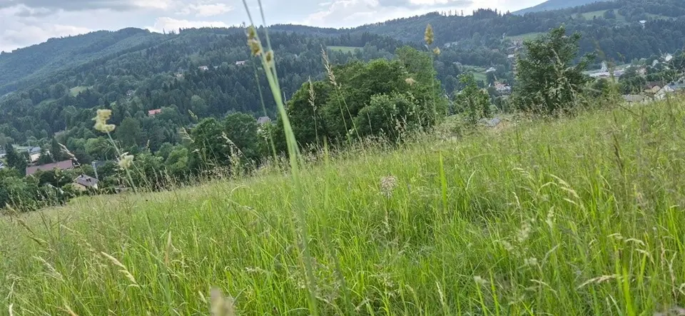 Zdjęcie 6