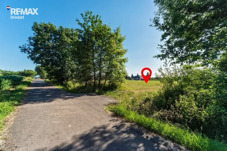 Zdjęcie 13