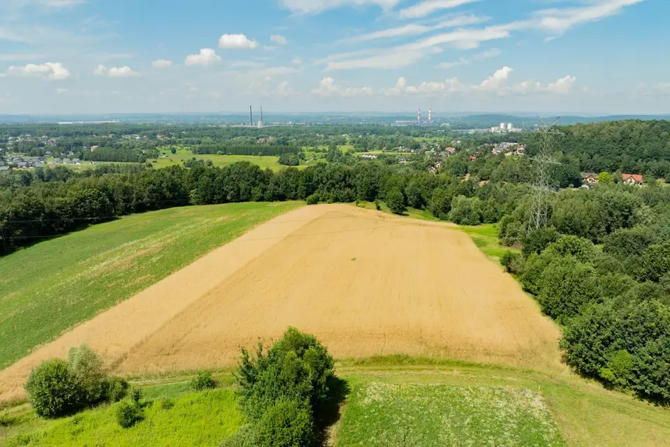 Zdjęcie 13