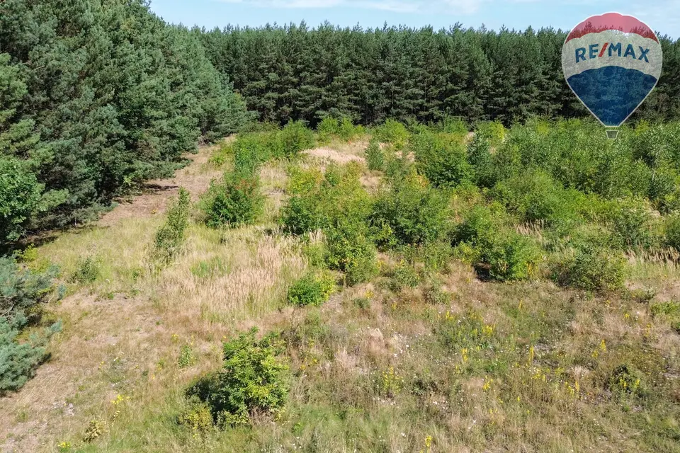 Zdjęcie 11