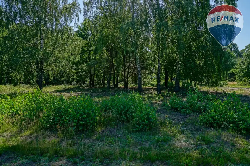 Zdjęcie 7