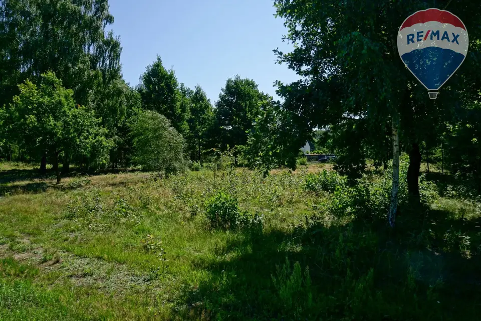 Zdjęcie 8