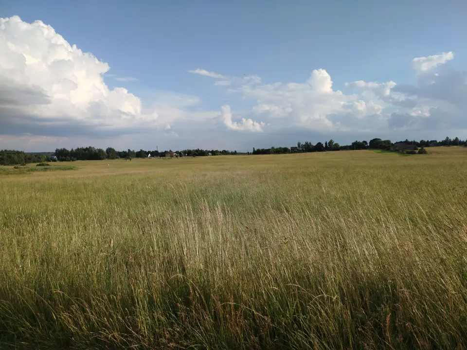 Zdjęcie 5